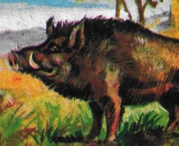 5293.jpg