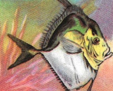 Images Blécao  (02)