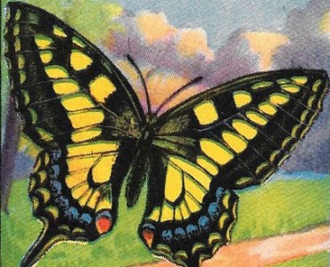 Images Blécao  (03)
