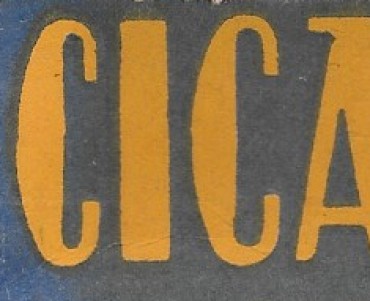 Lames de rasoir Cicam (03)