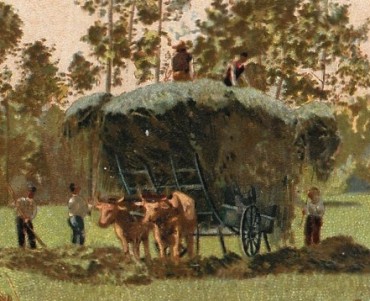 Image Guérin-Boutron (25)