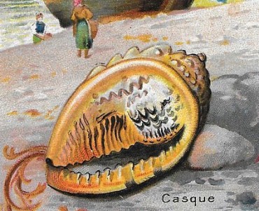 Images Aiguebelle (10)