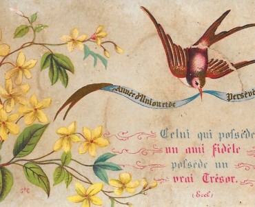 Image neutre (028)