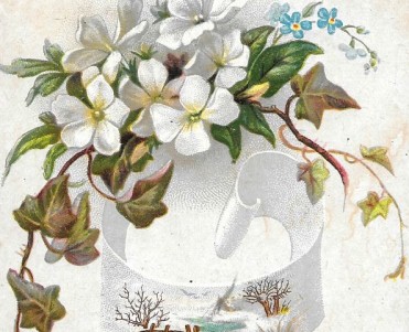 Images Chocolats des Pères Trappistes (02)