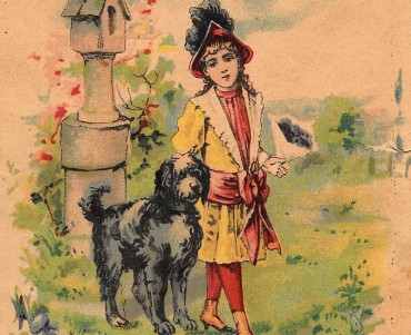 Image neutre (036)