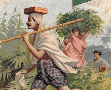 Image neutre (041)